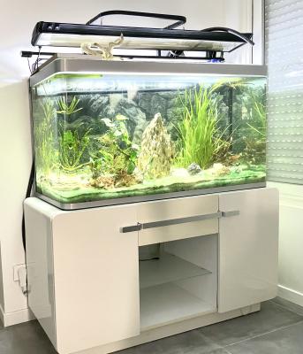aquarium osaka 320l+meuble+accessoires