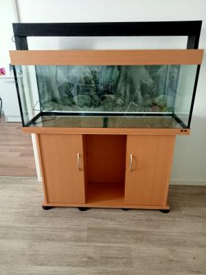 Aquarium juwel de 240 litre avec meuble