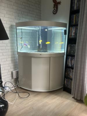 Ensemble aquarium juwel 190 litre