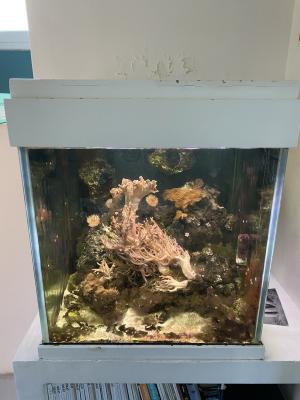 Aquarium eau de mer 200 litres