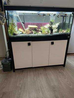 Aquarium professionnel 240L