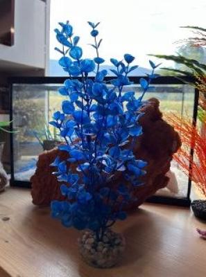 Décoration aquarium plante bleue