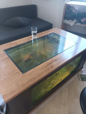 Table basse aquarium