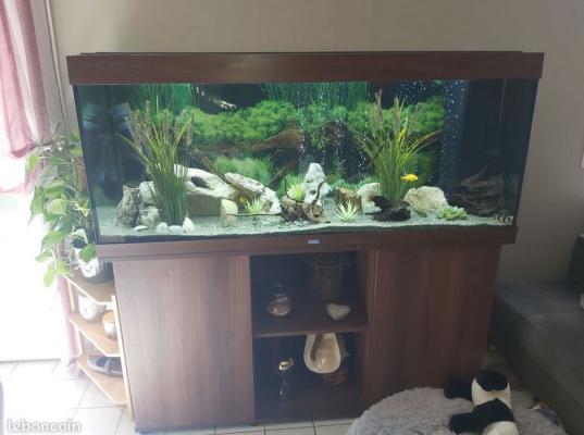 Aquarium Juwel Rio 400 + meuble et accessoires