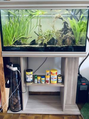 Aquarium avec meuble et poissons