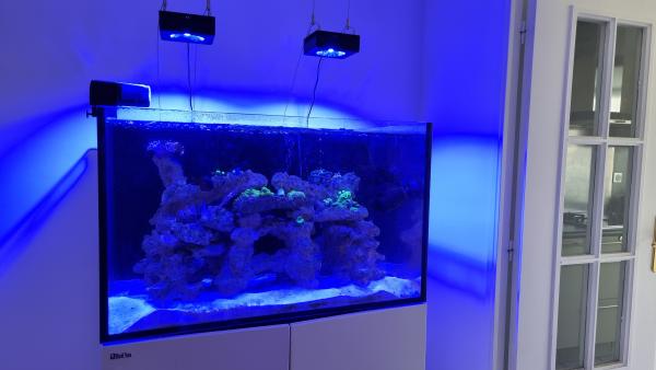 Aquarium Redsea Reefer 300 XL
