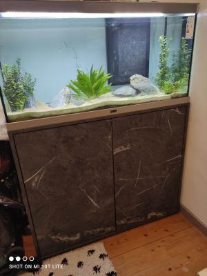 Aquarium 200 litres+ meuble