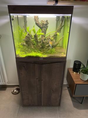 Aquarium SPLENDID 60 avec meuble lot complet