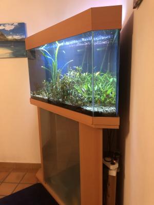 Aquarium angle 300 litres
