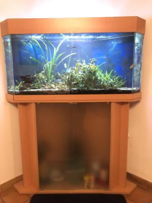 Aquarium angle 300 litres