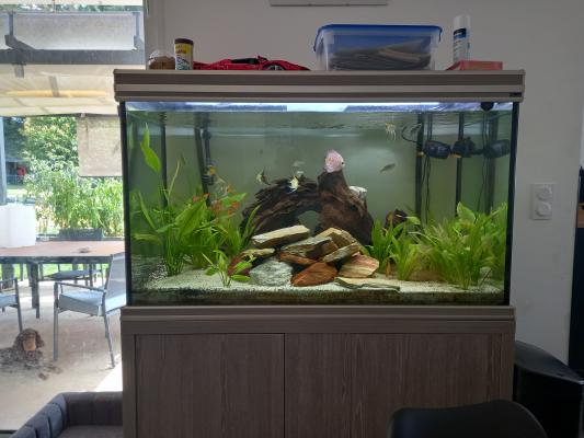 Aquarium 450 Litres