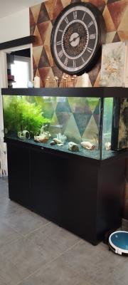 Aquarium Juwel 450l