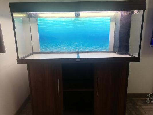 Aquarium juwel 250 l avec meuble pompe et chauffage