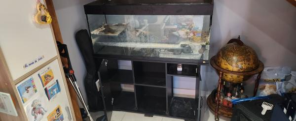 Aquarium meuble ( poissons / tortues)