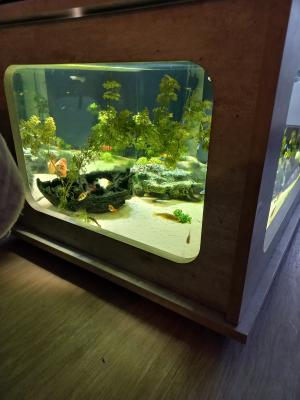 Aquatable (Aquarium table basse)