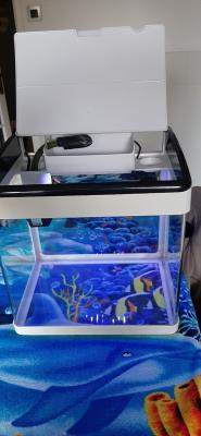 Aquarium Panoramique superfish + filtres