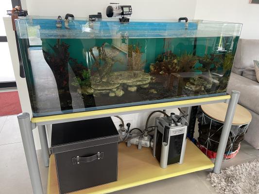 Aquarium complet 220 litres