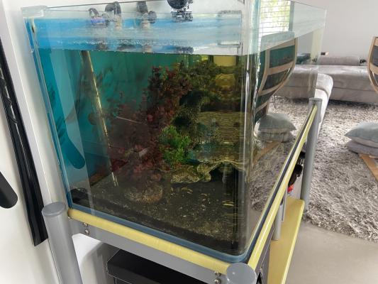 Aquarium complet 220 litres