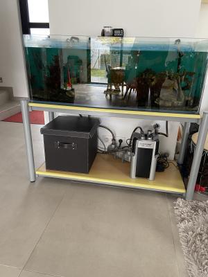 Aquarium complet 220 litres