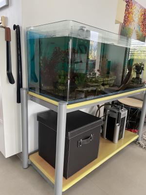 Aquarium complet 220 litres