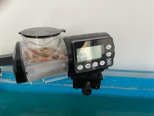 Aquarium complet 220 litres