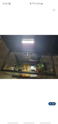 Aquarium 20L