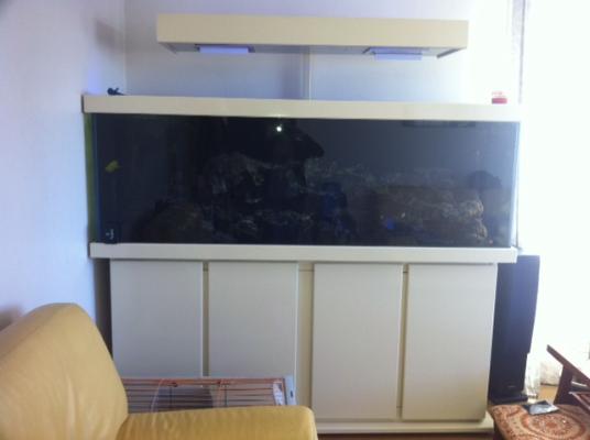 Vends aquarium 600 L meuble fait sur mesure