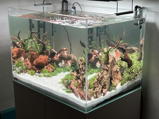 Kit aquarium + meuble - EHEIM Proxima Scape 175 L  - Quasi neuf
