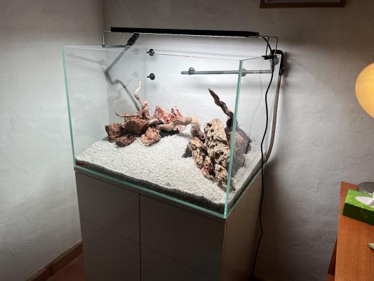 Kit aquarium + meuble - EHEIM Proxima Scape 175 L  - Quasi neuf