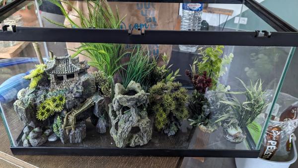 Aquarium 60 cm