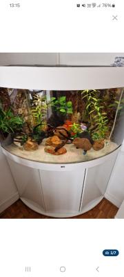 Aquarium et ses accessoires prêt à installer