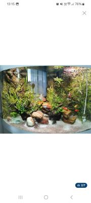 Aquarium et ses accessoires prêt à installer