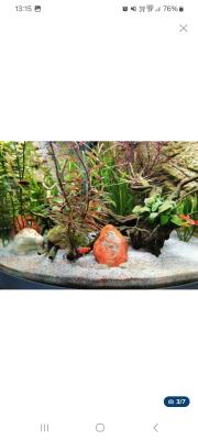 Aquarium et ses accessoires prêt à installer