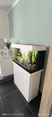 Juwel 120