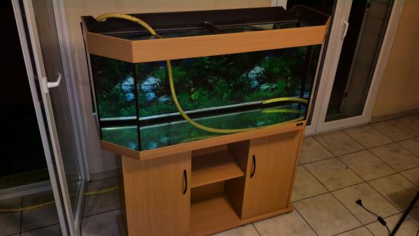 Juwel Panorama 200 litres avec meuble