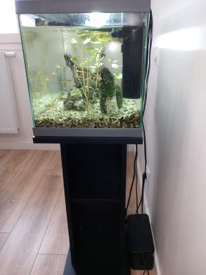 Aquarium 58 litres + meuble