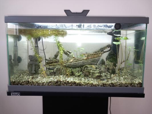 Aquarium 58 litres + meuble
