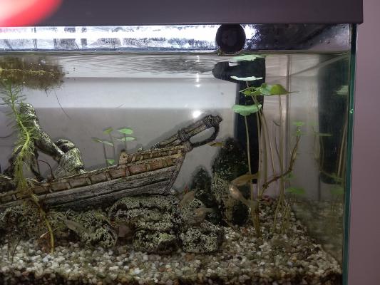 Aquarium 58 litres + meuble