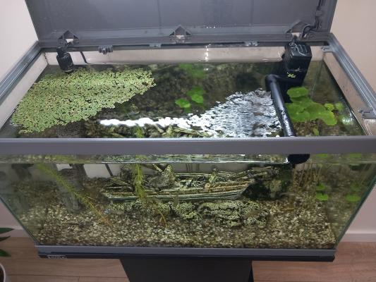 Aquarium 58 litres + meuble