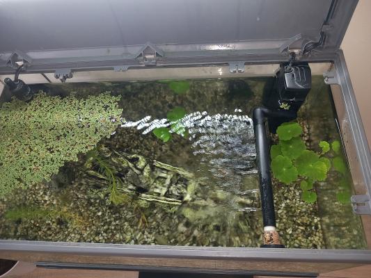 Aquarium 58 litres + meuble