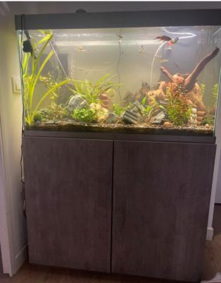 Aquarium ciano 200