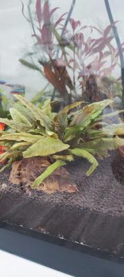 Aquarium