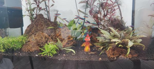 Aquarium