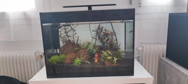 Aquarium