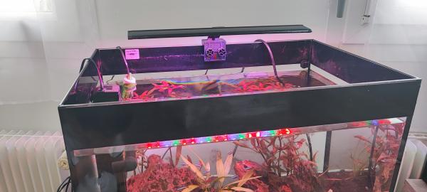 Aquarium