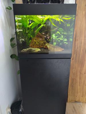 Aquarium Oase