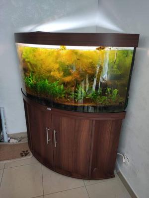 Juxel trigon 350 equipé avec meuble