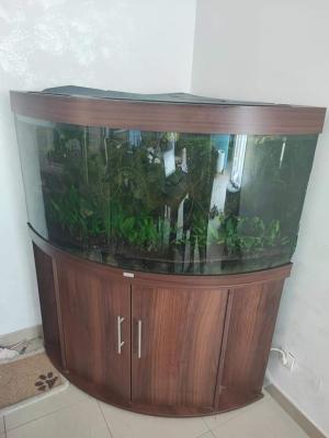 Juxel trigon 350 equipé avec meuble