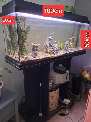 Vends aquarium 100l