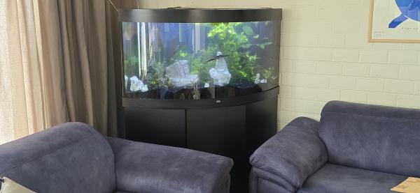 Aquarium Juwel Trigon 350 l